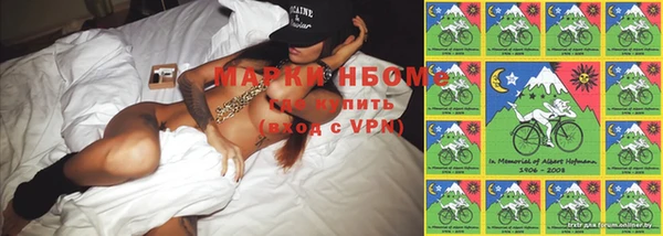 скорость Новозыбков